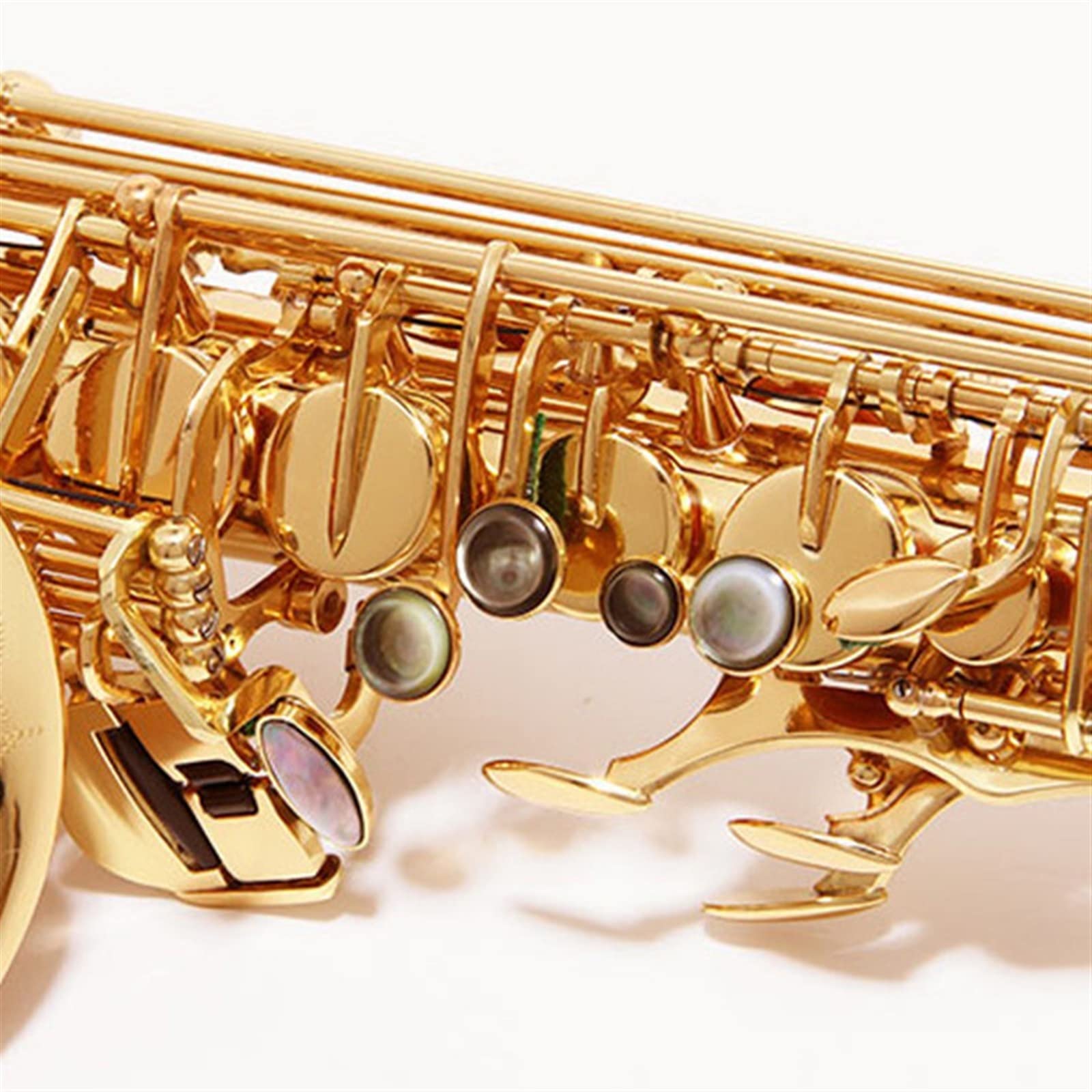 Es-Altsaxophon Für Erwachsene Anfänger Saxophon Students
