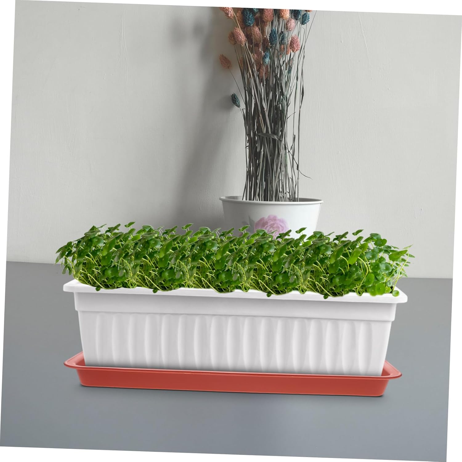 8Pcs Rectangular Plastic Plant Trays Durable Flower Pot Holders for Use Water Catching Saucer for Easy Plant Care Suitable for Various Pot