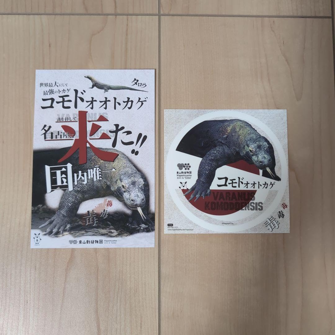 コモドドラゴン mqdefault.jpg