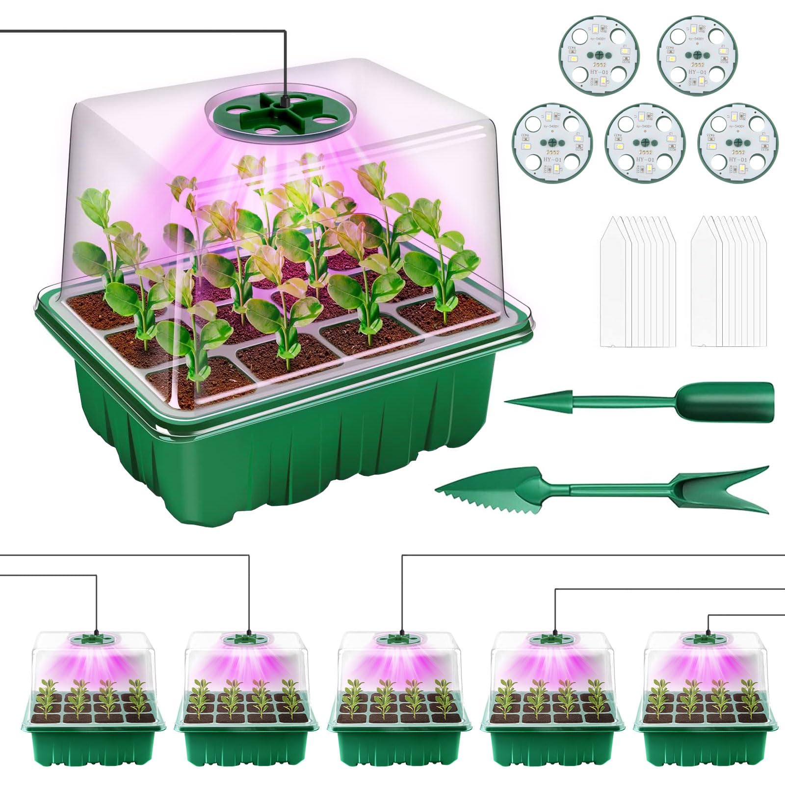 5 Pezzi Vassoi per La Germinazione, Vassoio Germinazione con Luce di Coltivazione Propagator con coperchi rialzati per Serra Giardino Verdura Frutta Seme Piante In Mini Serra