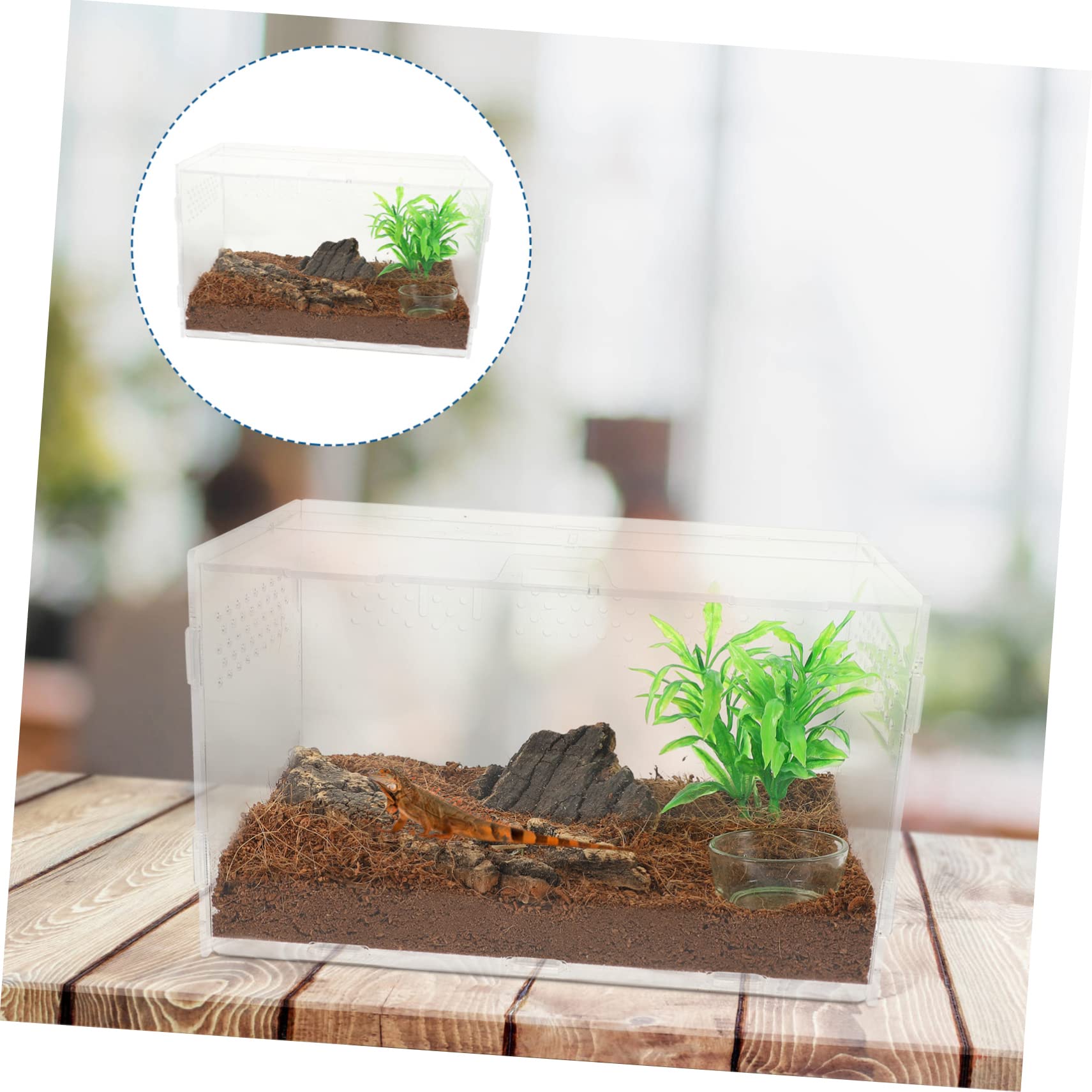 BESPORTBLE Terrario Gabbia Trasparente in Acrilico Fori di Ventilazione per Rettili Facile da Pulire, per Serpenti e Mantidi per Piccoli Animali Domestici