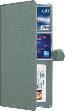 HOTCOOL Car Accessories Registration and Insurance Holder Cute Car Jeep/Tesla/Dodge/Ford/Toyota/Honda/Subaru/Nissan/Benz/BMW/Truck Accessories Essentials Women Men, Litchi - Green