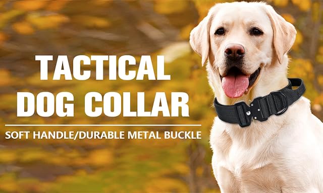 Foto 7 de 8 de Collar táctico para perro (negro, XL)