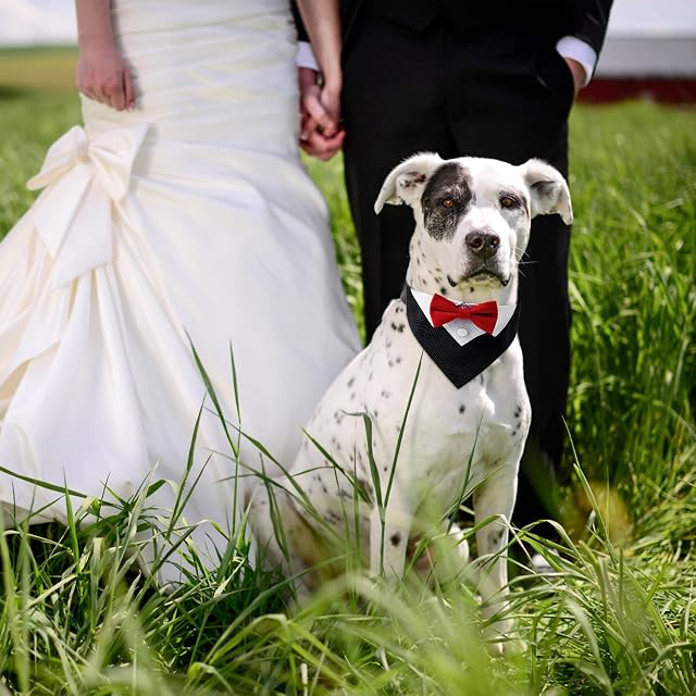 Foto 5 de 7 de URROMA 1 pañuelo de esmoquin formal rojo para perro, bandana de algodón con esmoquin para perro