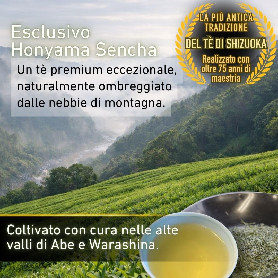 Daisan Tea, Honyama Tè Verde, Tè Verde Giapponese, Tè Sencha Premium | Tè fresco raccolto, Ryoku-Cha Verde Giapponese di Shizuoka, Giappone, Novità in Europa (100g)