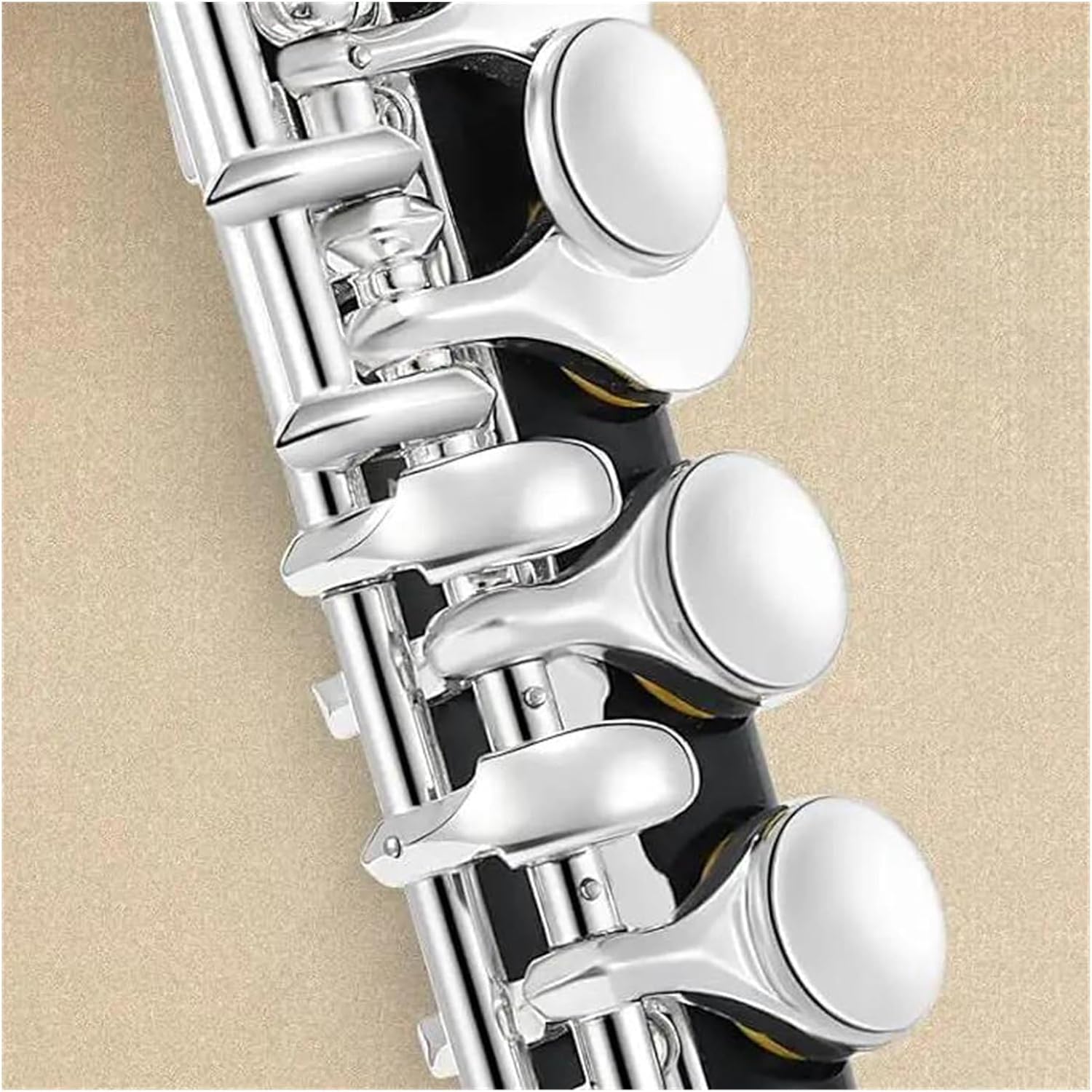 有田焼 林斎 福寿 小皿揃 古伊万里 5枚セット 有田焼 林斎 金彩古