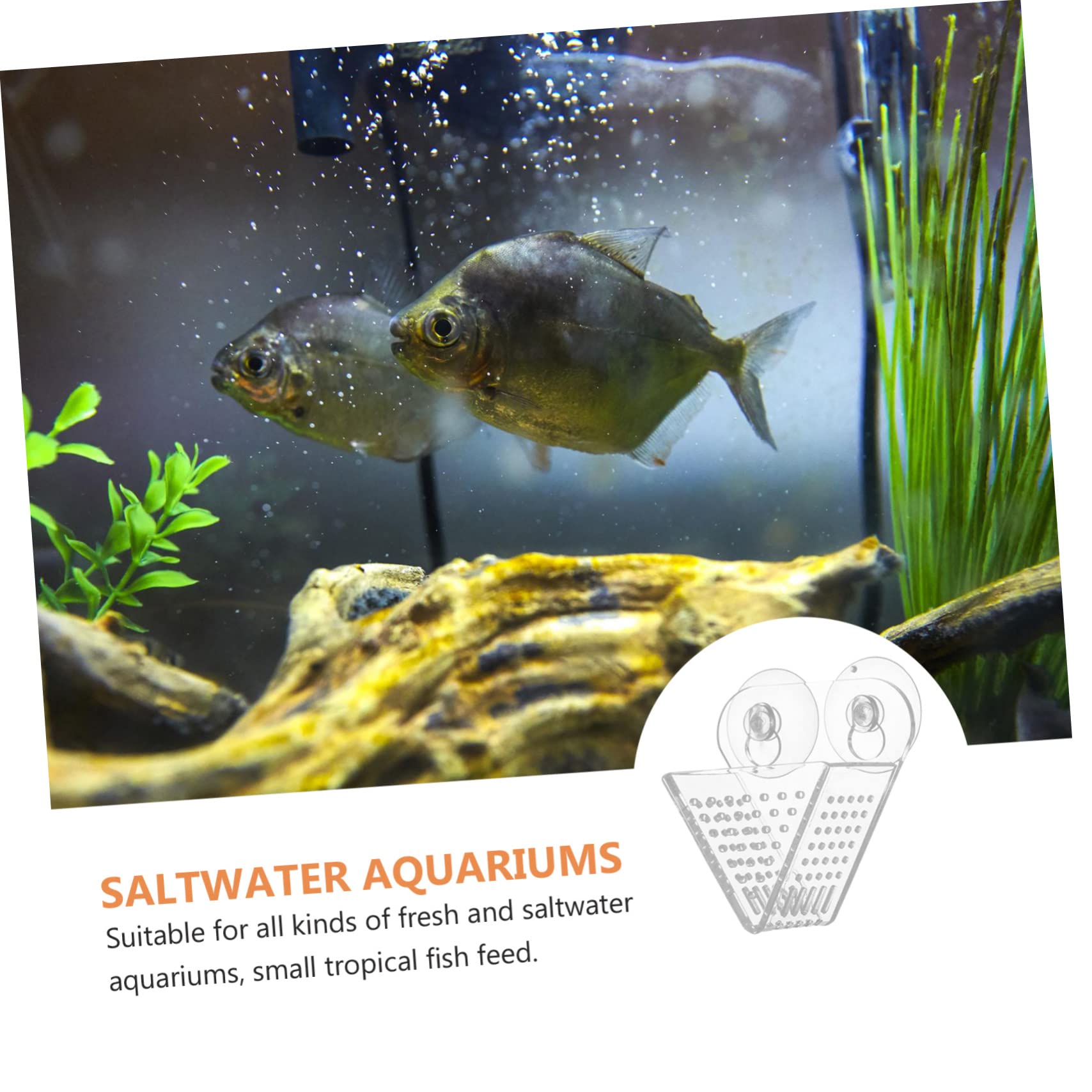BESPORTBLE 3piezas Alimentador De Acuario Doble Ventosa Dispensador De Comida para Peces Herramienta para Alimentar Gusanos De Accesorio para Tanques De Agua Dulce