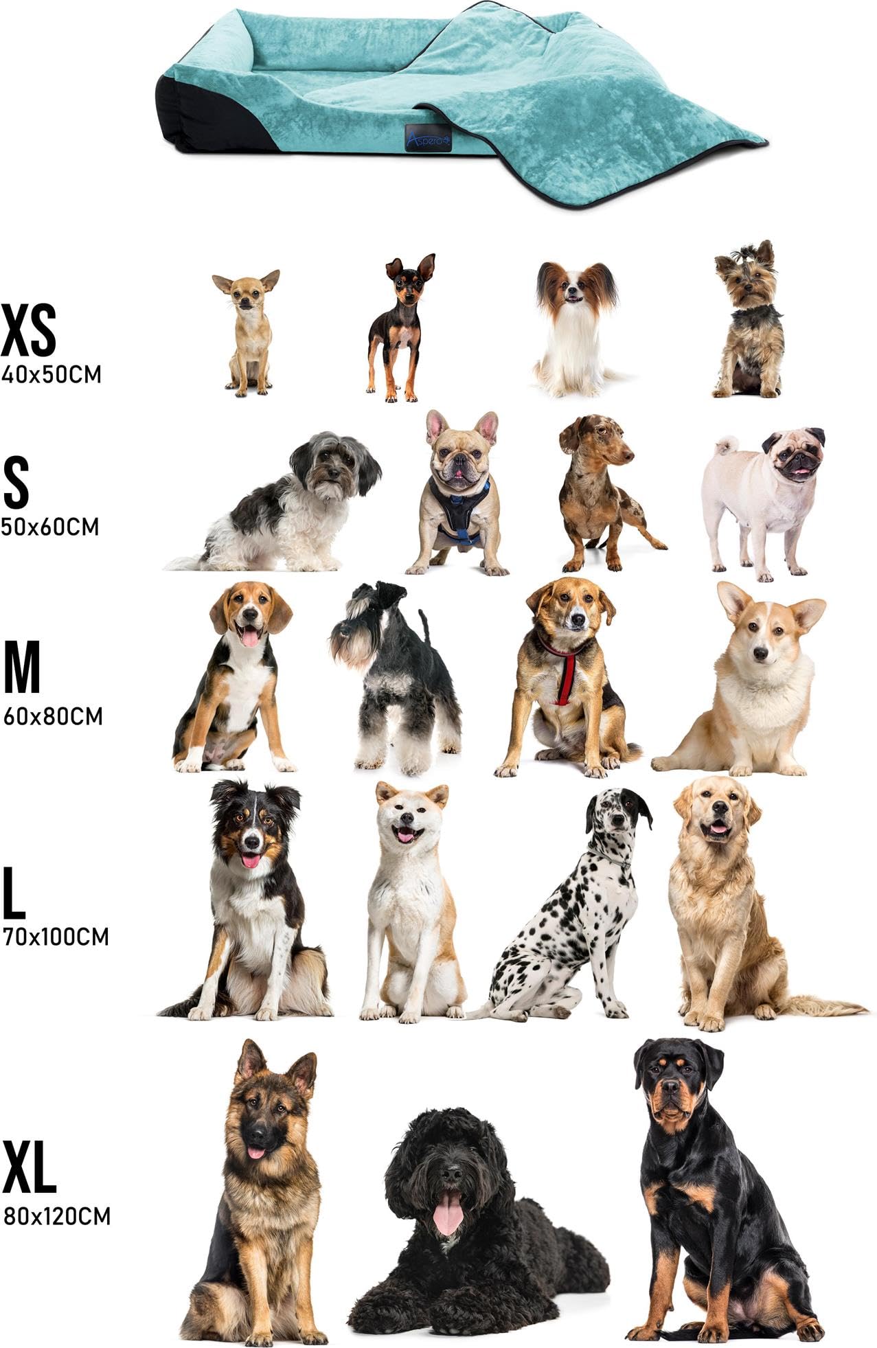 normani Hundekorb Hundebett + Decke - Haustierbett - Waschbarer Bezug bis 95 ° - für Katzen und Hundegeeignet - aus schadstoffreiem Material Farbe Blau Größe 70 cm x 100 cm