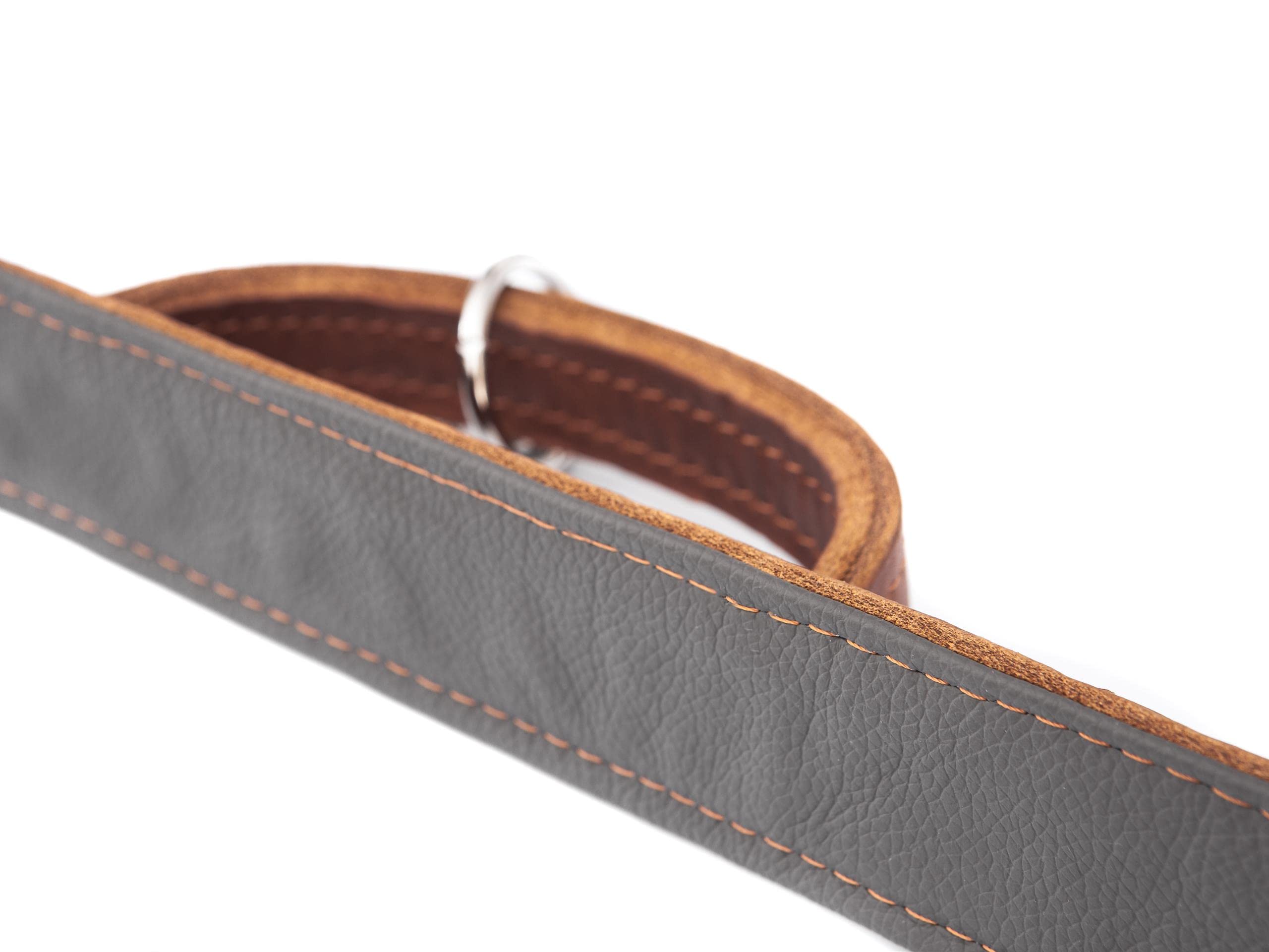 Collier pour chien en cuir avec boucle en métal Marron clair 60 cm