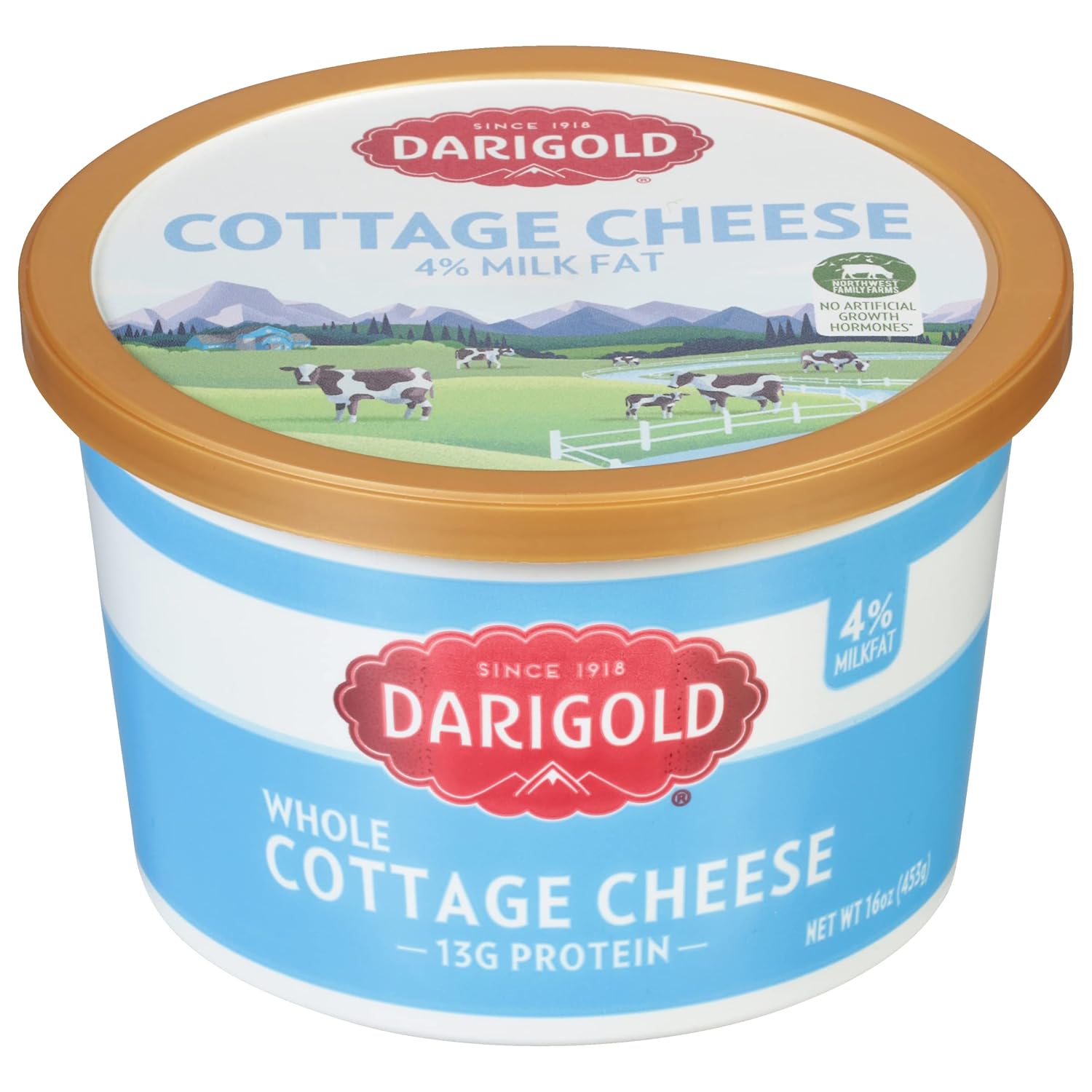 Darigold, Small Curd Cottage Cheese, 16 oz
