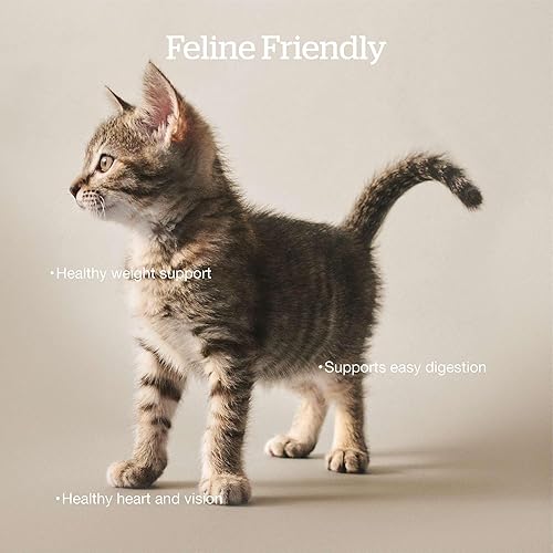 Miniatura 3 de Now Fresh Alimento seco para gatos, pavo, salmón y pato, 3 libras, comida para gatos sin granos, hecha con carne y pescado reales