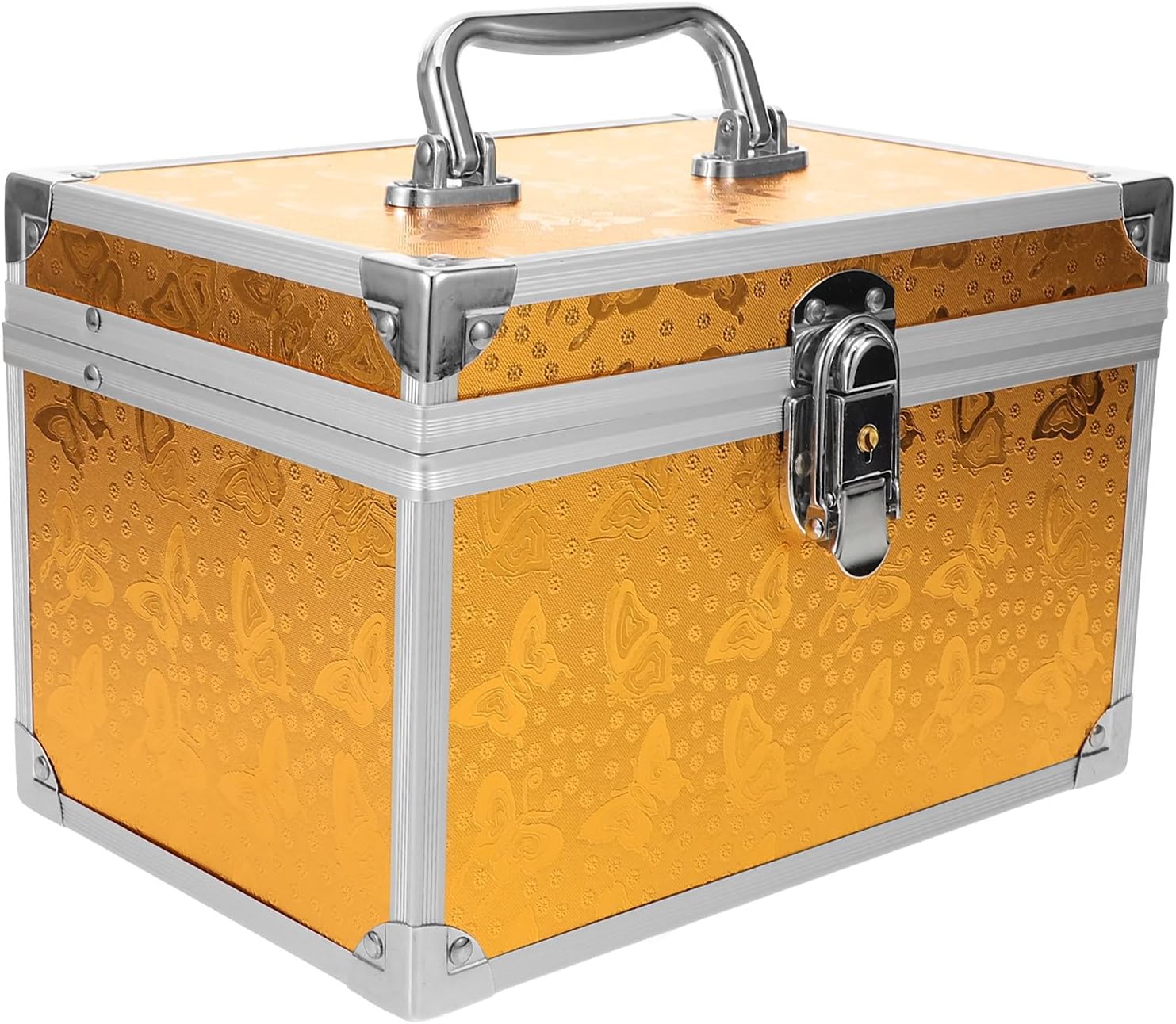 Levemolo Portable Tool Box with Handle Small 24x16x16cm Metal Tool Organizer and Storage Case Cosmetic and Foot Bath Accessories Carrying Case for Travel and Home Use