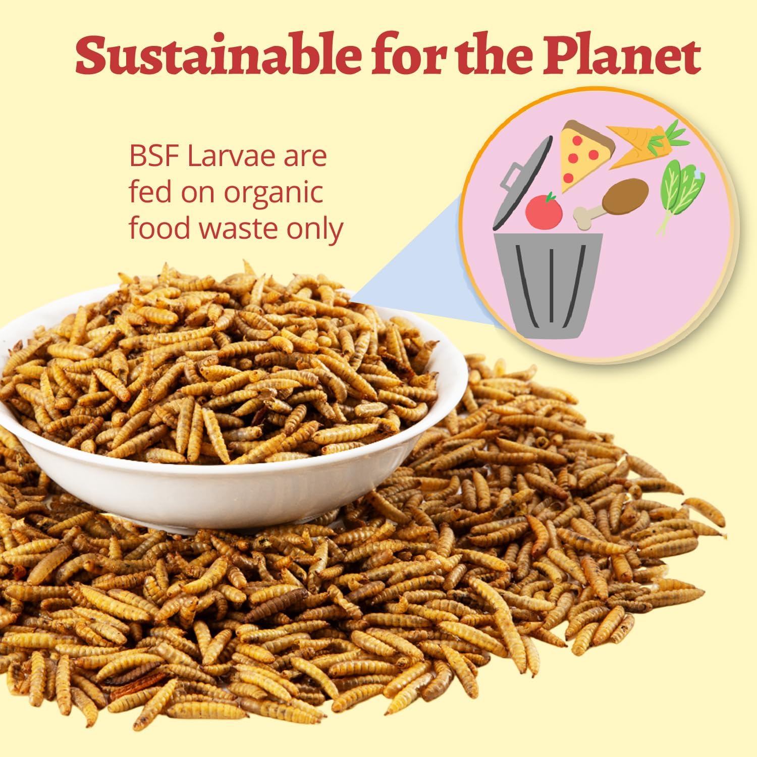 22LB(5.5LB/4Bag) Dried Black Solider Fly Larvae, BSFL is High Protein Chicken Feed with 85x More Calcium Than Dried Mealworms, Poultry Treats, Chickens Love, Birds Love, Hens Love,Ducks Love