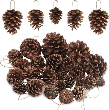 25 PCS 0.8-3.6inch Christmas Natural Pine Cones Bulk Christmas Pine Cones Hanging Ornaments for Home Holiday DIY Crafts Gift Tag Christmas Tree Fall Winter Decor