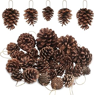 25 PCS 0.8-3.6inch Christmas Natural Pine Cones Bulk Christmas Pine Cones Hanging Ornaments for Home Holiday DIY Crafts Gift Tag Christmas Tree Fall Winter Decor