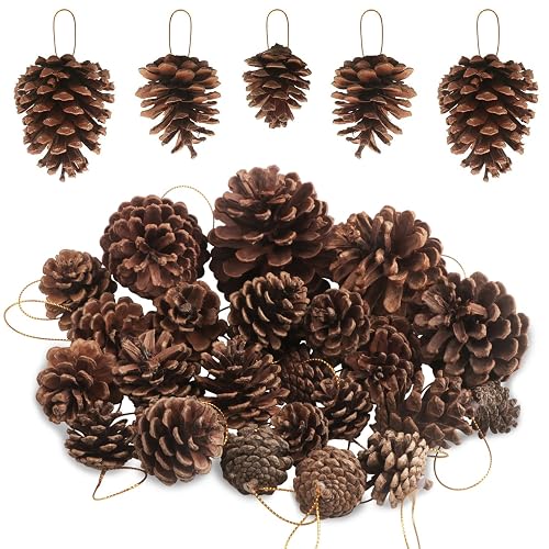 25 PCS 0.8-3.6inch Christmas Natural Pine Cones Bulk Christmas Pine