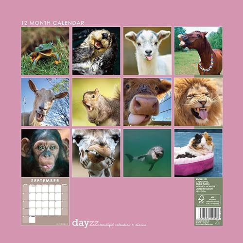 Vista 22 de Calendario de pared colgante cuadrado de ángeles 2024, sin plástico, planificador de 12 x 12 pulgadas, celestial, espiritual, celestial, celestial