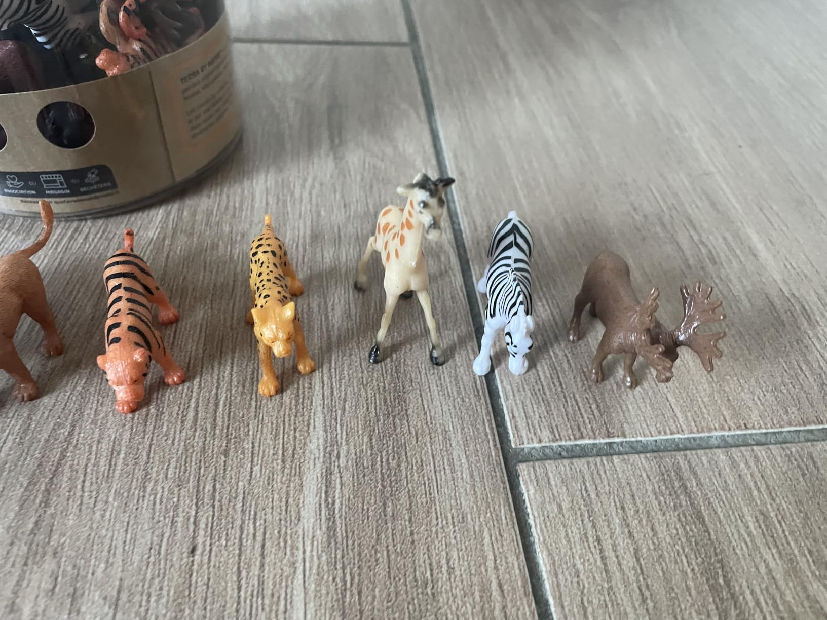 Terra 60-Piece Animal Figures Collection Wild Panama | Ubuy