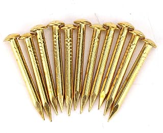 HEEPDD 100Pcs Brass Escutcheon Tacks, 22mm Length Round Head Brad Nails | Heavy Duty Nails Furniture Hinge Hardware Kit 10mm/15mm/18mm/22mm Sizes for Repair Cabinet Door Hardware Accessories