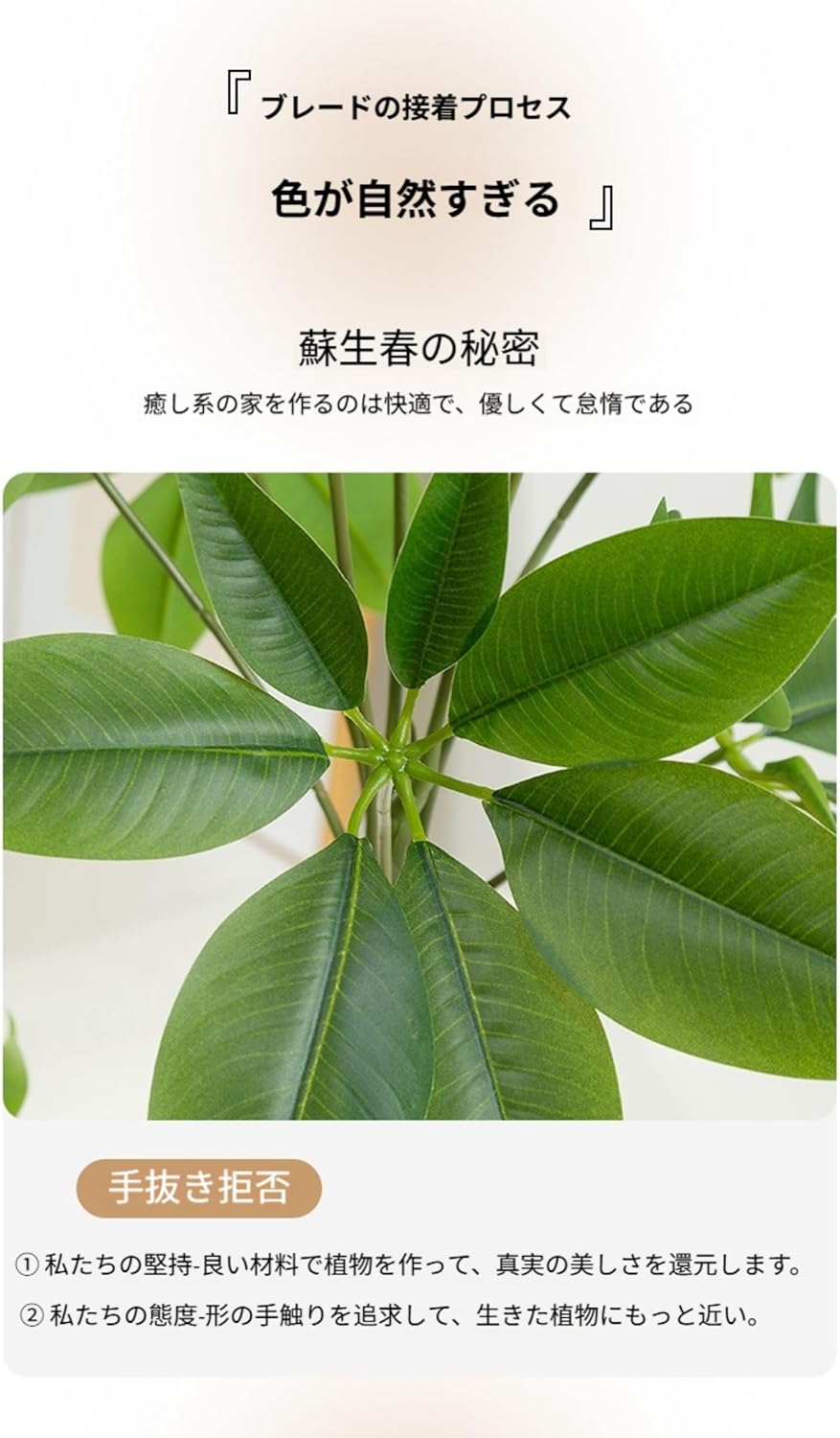 Foivozs 観葉植物 フェイク 観葉樹 造花 光触媒 空気清浄 「発財樹」と「パキラ 多幸の木」高さ140cm/160cm/18