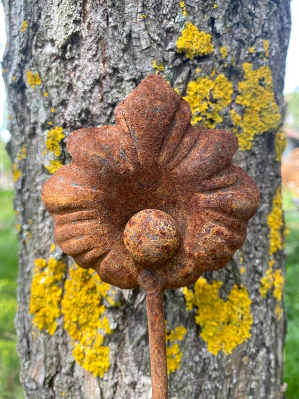 Rusty Flowers Set of 6, Metal Flower Garden Stake, Rusty Metal Garden Decor, Yard Art