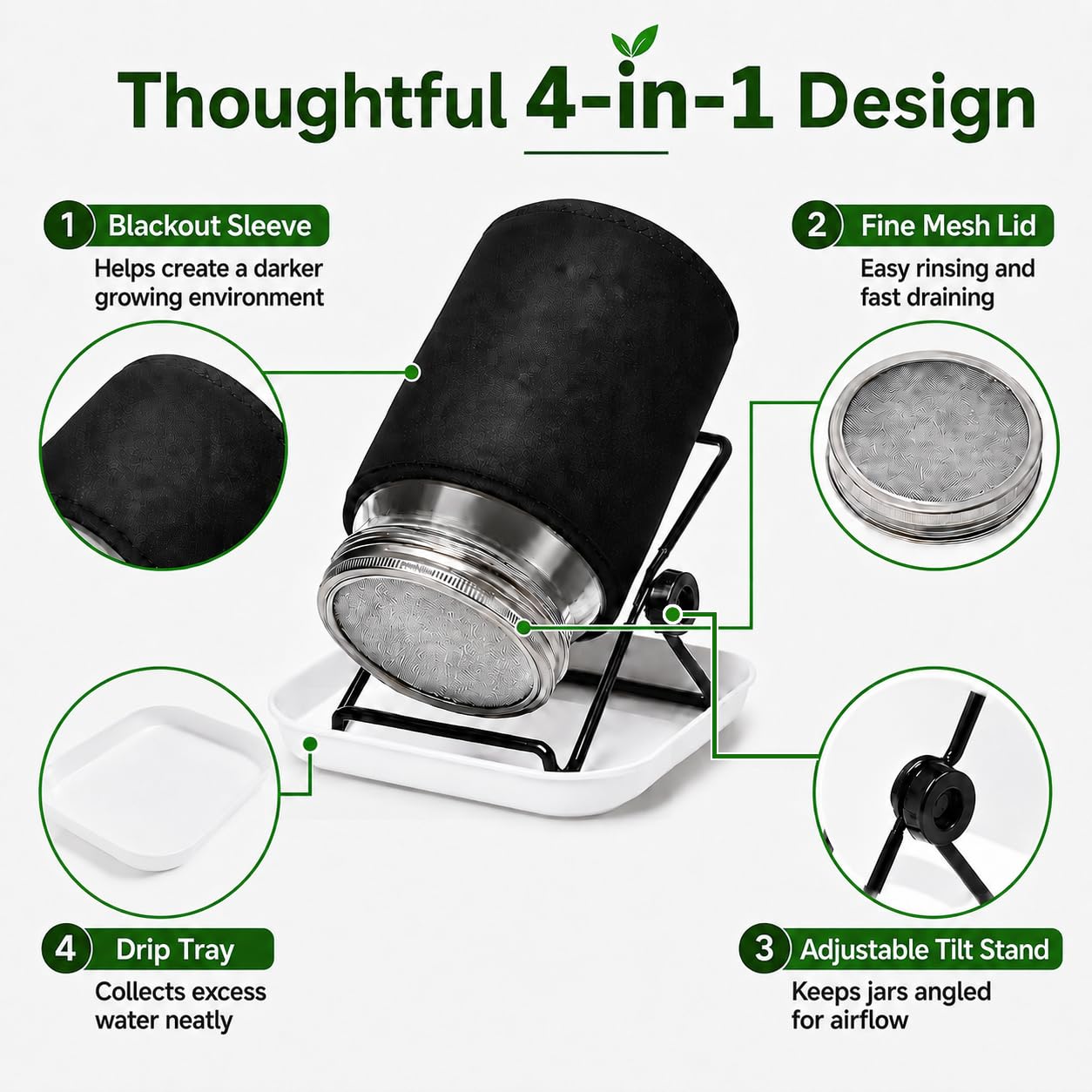 View 5