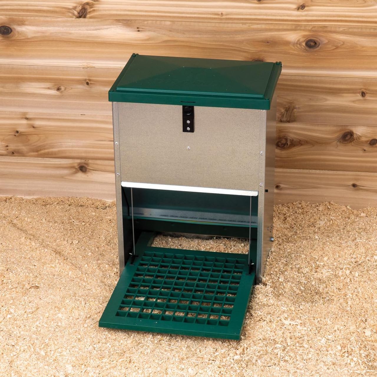 Hatching Time Automatic Treadle Chicken Feeder – 11 lb Capacity – Secure-Lid, Outdoor-Rated, Weight-Activated Poultry Feeder for Backyard Chickens – Galvanized & Durable