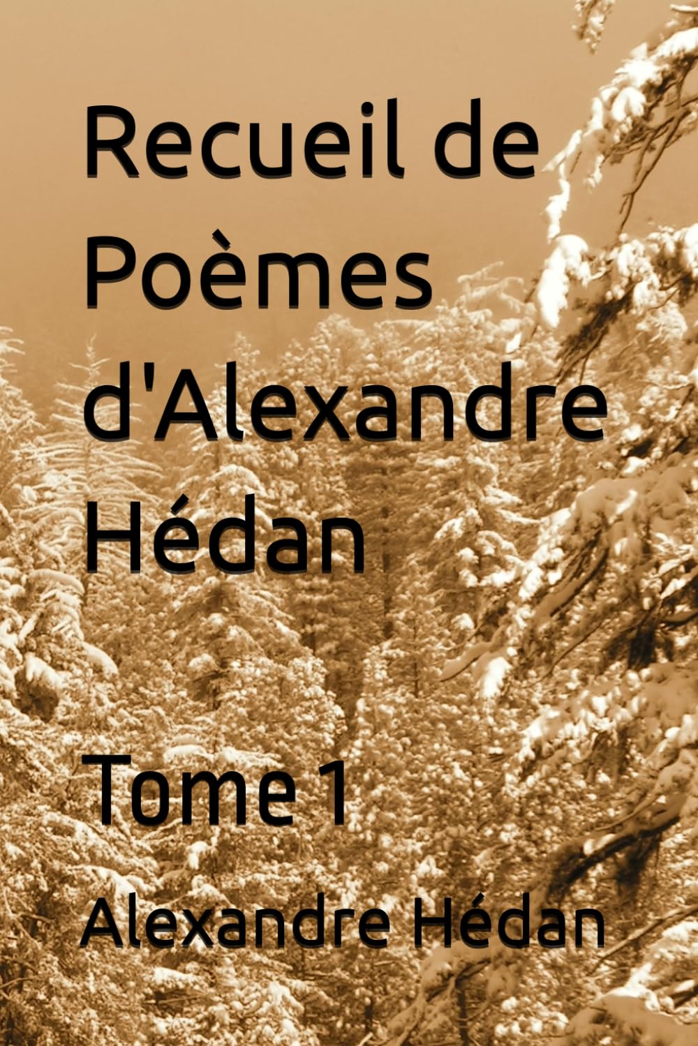 Recueil de Poèmes d'Alexandre Hédan: Tome 1