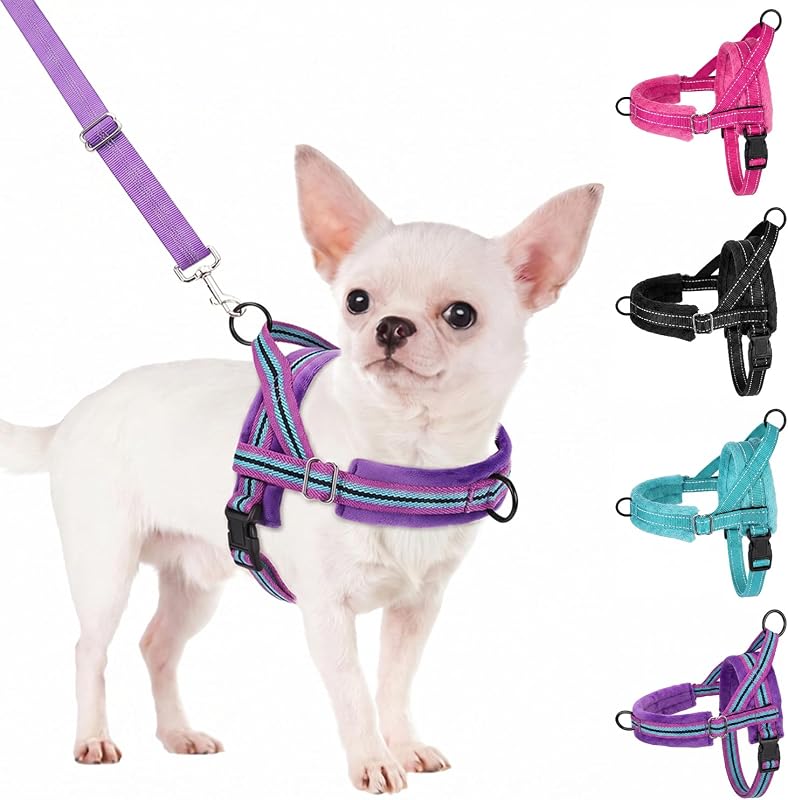 Peitoral Vest para Cães Pequenos SlowTon com Guia e Clipe Frontal