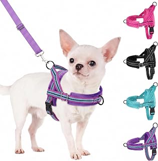 SlowTon No Pull Small Dog Harness and Leash Set with Front Clip