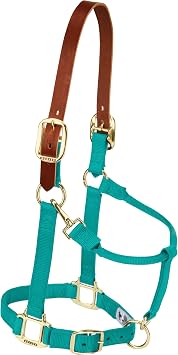 Weaver Equine Breakaway Horse Halter, Supple Leather Crown, Adjustable Chin & Throat Snap Halters for Horses, Equine Tack,Pony Size, Emerald Green