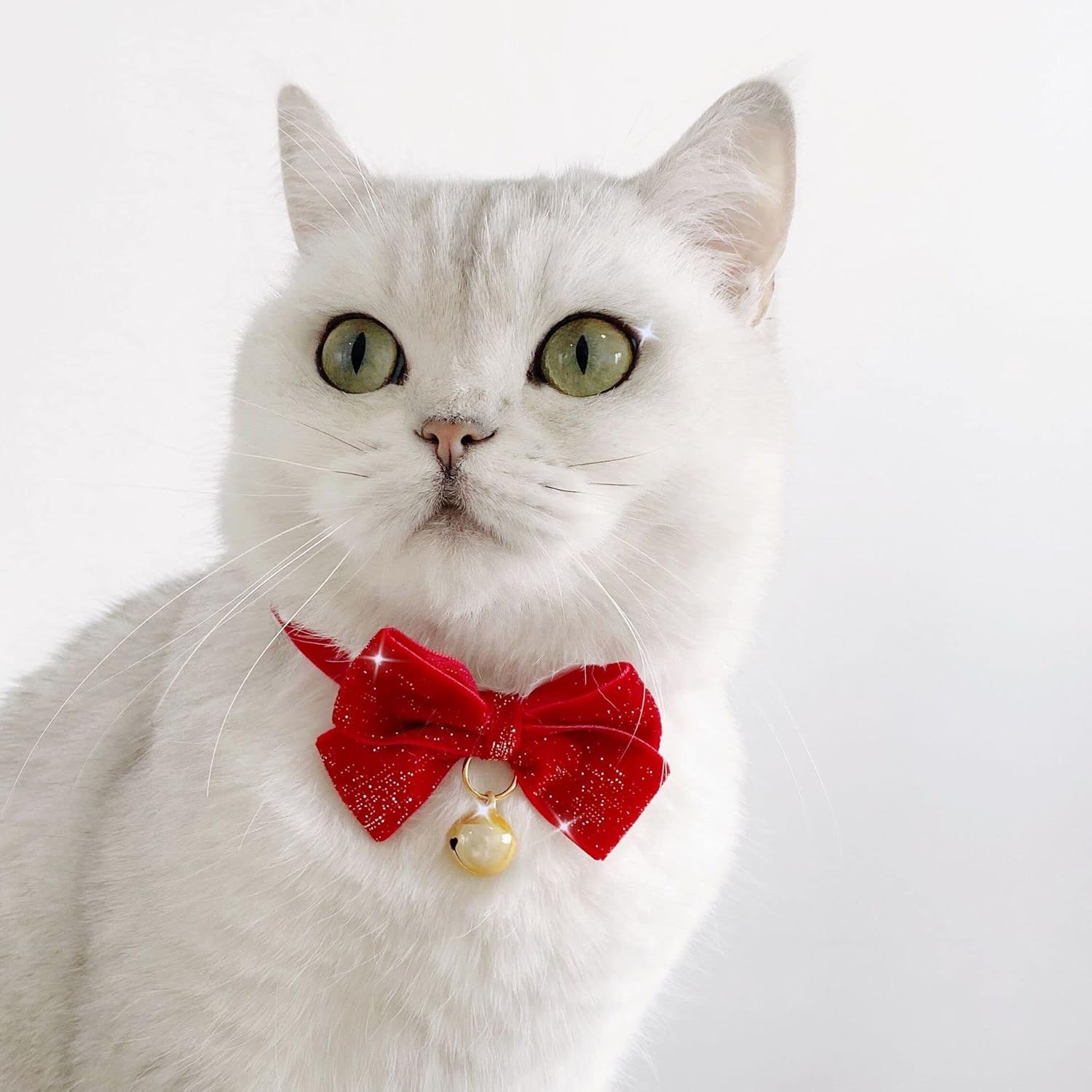 BT Bear Pet Christmas Collar,2PCS Handmade Velvet Pet Christmas Bow Tie Collars for Cats Puppy Small Dogs(Gold flash red) - Image 5