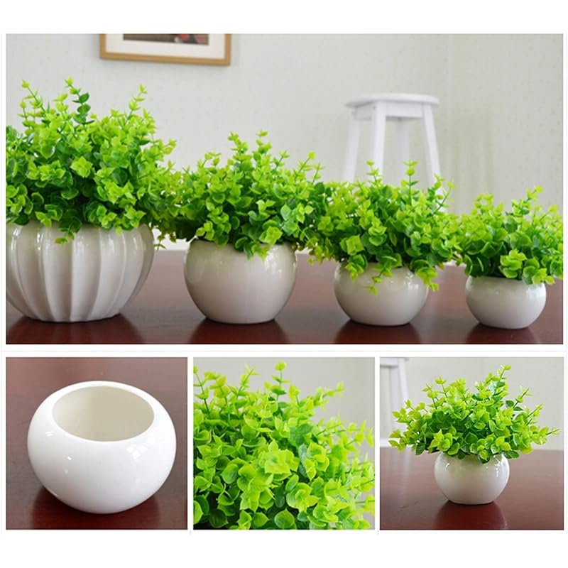 鉢植えの植物 人工の小さな人工観葉植物 人工観葉植物 屋内 人工観葉植物 家庭 卓上 オフィス 農家 キッチン 屋内 屋外 装飾 Jwxhmb8pg7 Anzanatitlan Org 鉢植えの植物 人工の小さな人工観葉植物 人工観葉植物 屋内 人工観葉植物 家庭 卓上 オフィス 農家 キッチン 屋内 屋外 装飾 Jwxhmb8pg7 Anzanatitlan Org