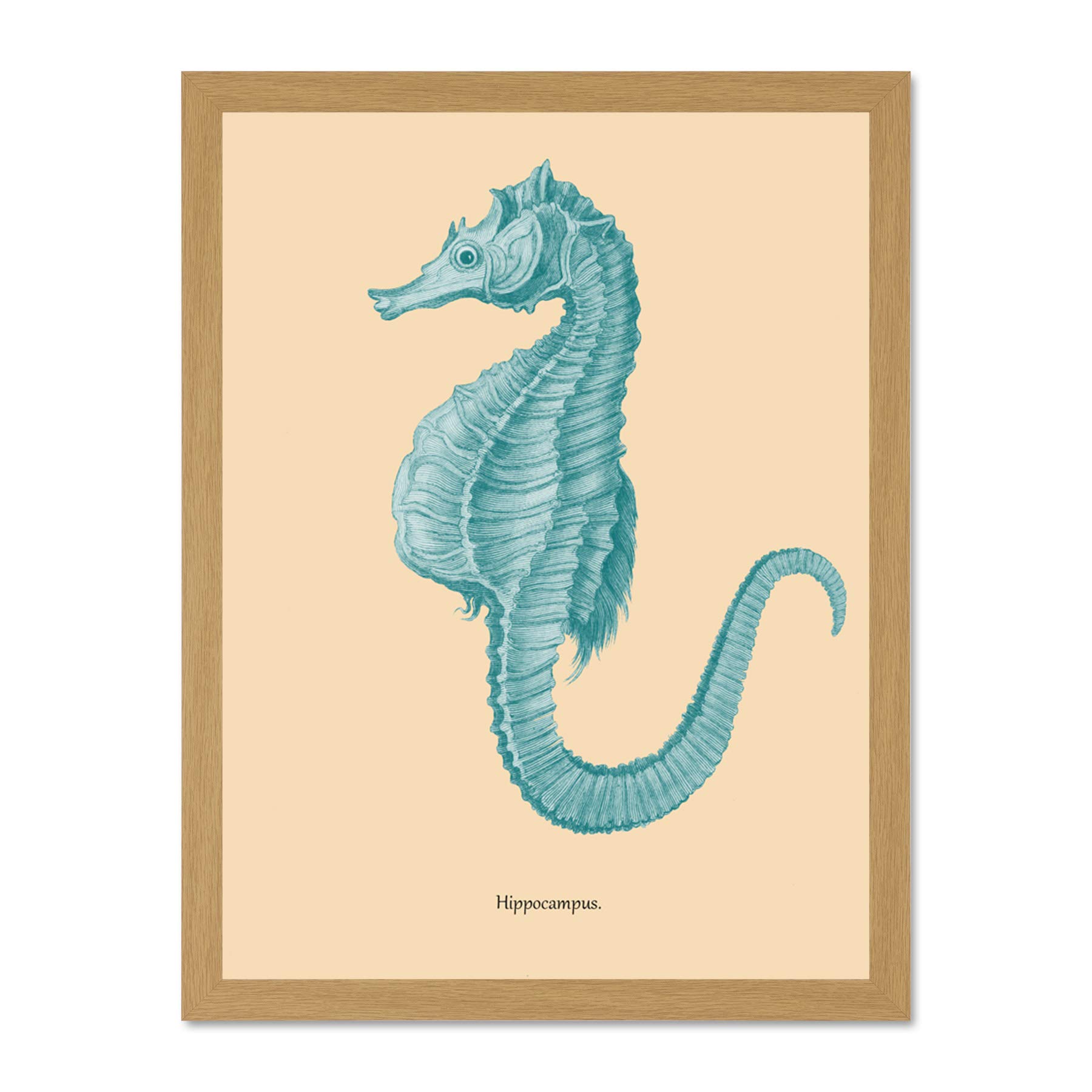 Wee Blue Coo Sea Horse Hippocampus Blue Large Framed Art Print Wall Poster 18x24 inch