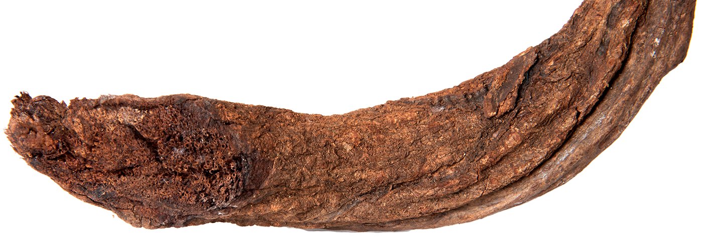 Galapagos (05312) Jungle Wood, Natural Brown, 3 Ft.