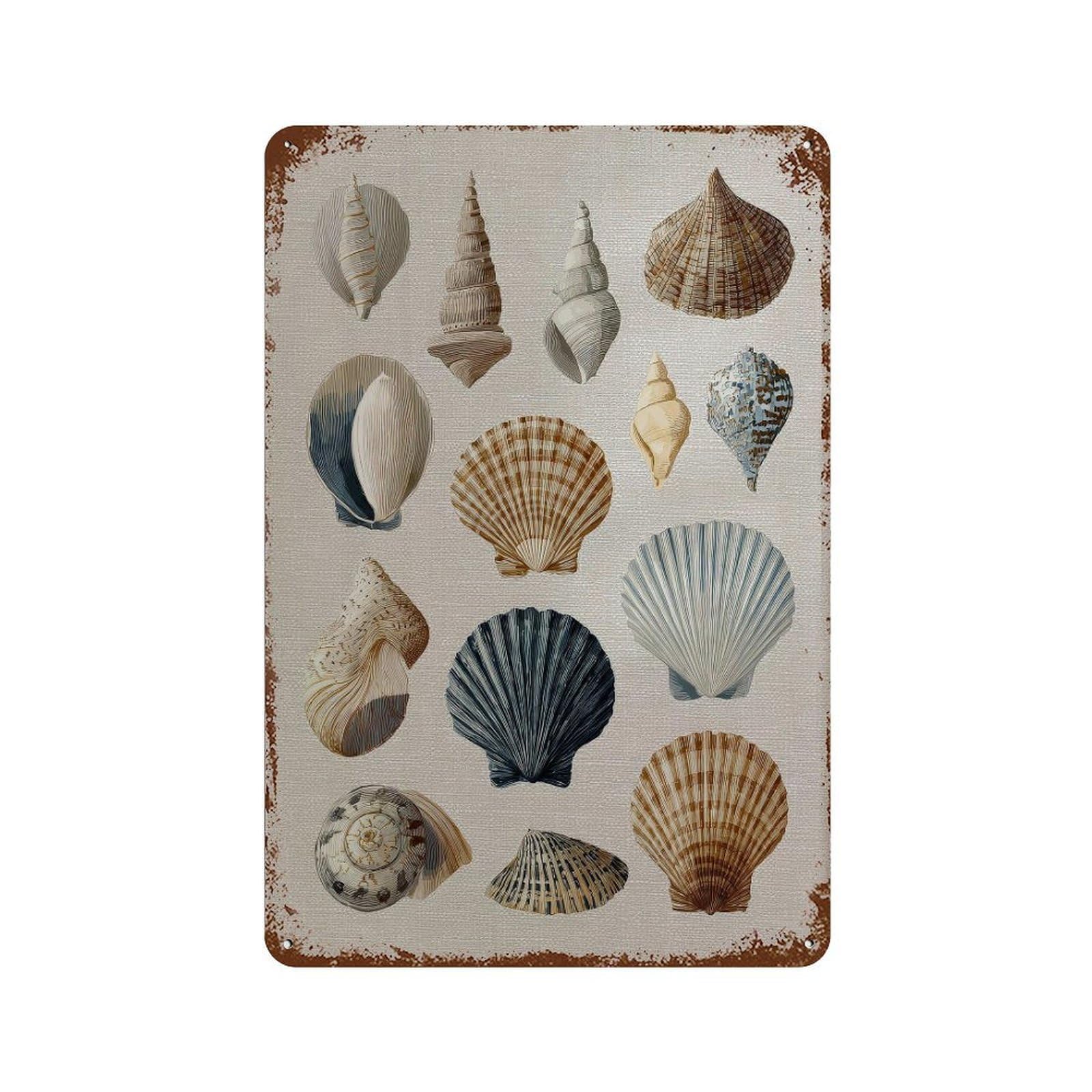 xiaoxiaoshen Seashells. Coastal Nautical Wall Decor Art Metal Tin Poster Modern Home Decor Art Home Bar Shop Decorations Vintage Sign 30x20cm