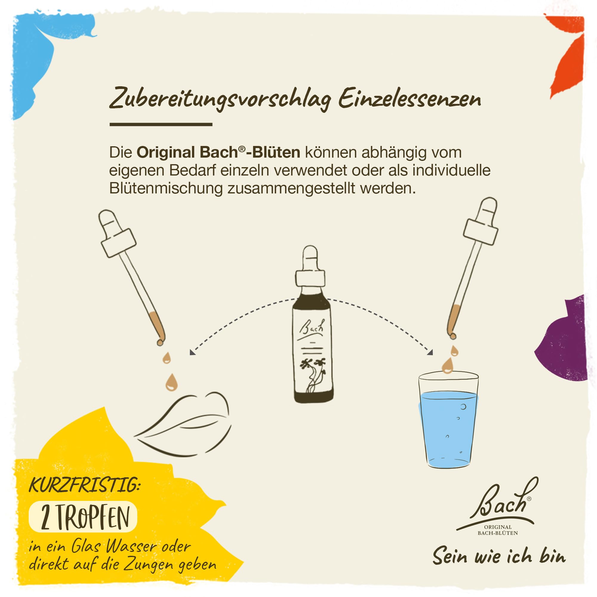 Original Bachblüten Tropfen Box: Alle 38 Bach-Blüten Essenzen + 2x RESCURA Rescue Tropfen, 40x10ml