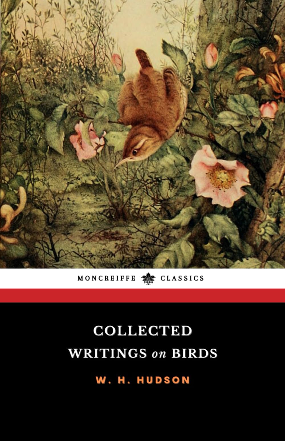 Collected Writings on Birds: Birds and Man, Birds in Town & Village, Birds in London