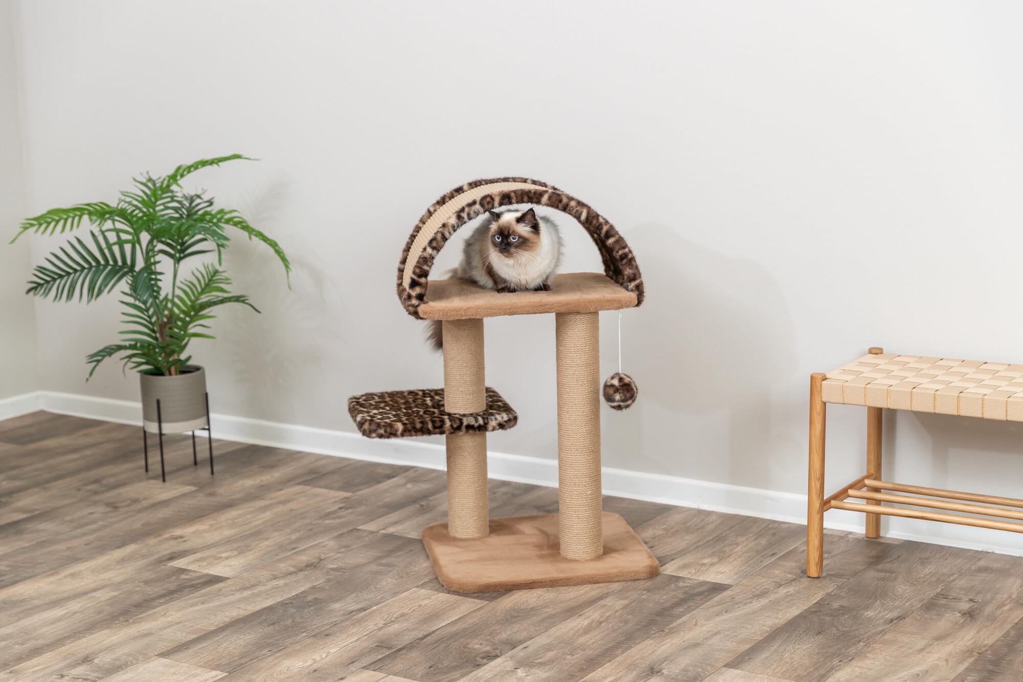 TRIXIE Arbre à chat Leo – Marron – 85 cm, multi-niveaux, griffoirs