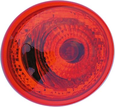 Eagle Eyes GM442-B000R Tail Light