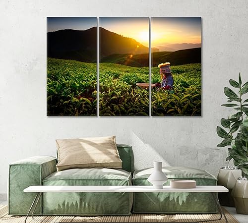 Miniatura 2 de Sungei Palas Tea Garden Malaysia Canvas Print 1 Panel  47x31 inches