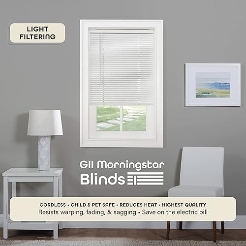 Miniatura 2 de Achim Home Decor GII Morningstar - Persiana pequeña sin cordón y con filtro de luz para ventanas interiores, 29 pulgadas de ancho x 48 pulgadas de