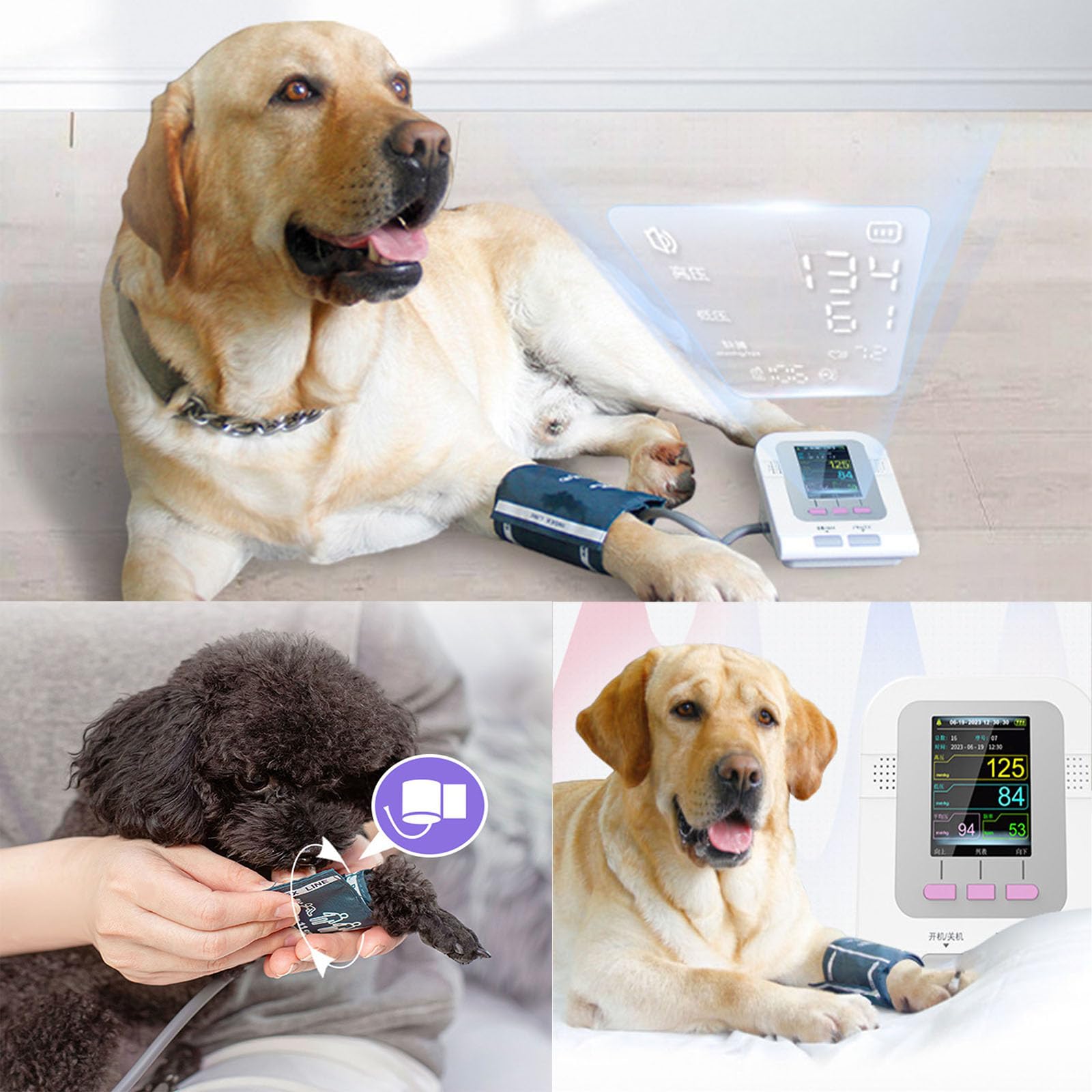 Equipement de Soins vétérinaires, Brassard de tensiomètre numérique pour Animaux, Soins pour Chiens/Chats/Animaux, 3 Modes, 3 brassards, sphygmomanomètre électronique.