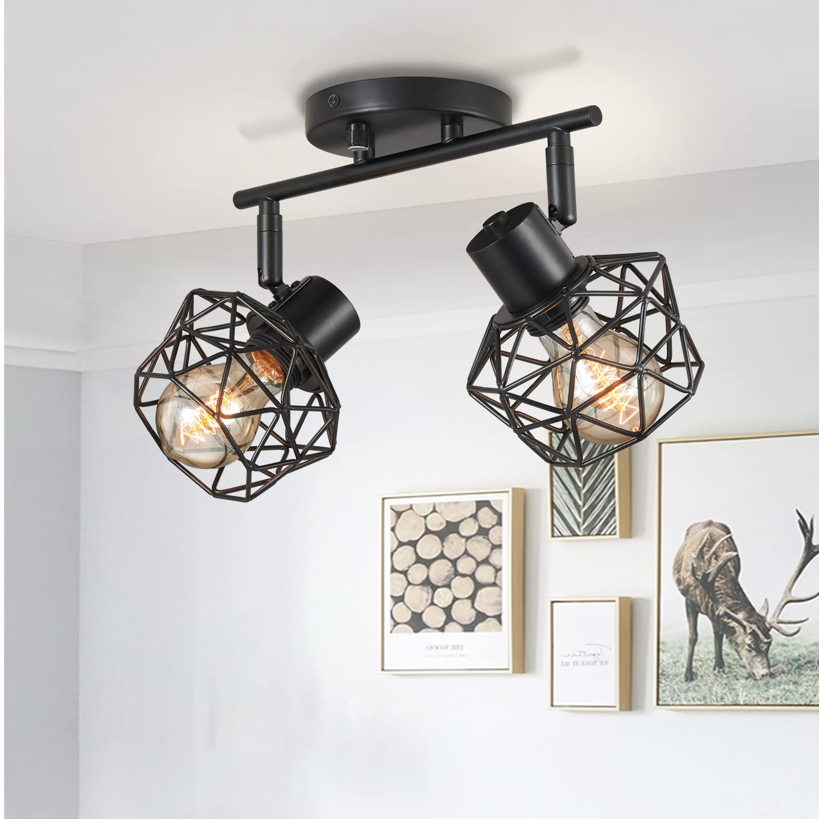 LIGHTESS Flush Mount Wall or Ceiling Spot Light Fixture Black with Dimmer ON/Off Switch, 2-Head Vintage Tracking Light Kit, Adjustable Bathroom Spotlight Over Mirror, LG9933948