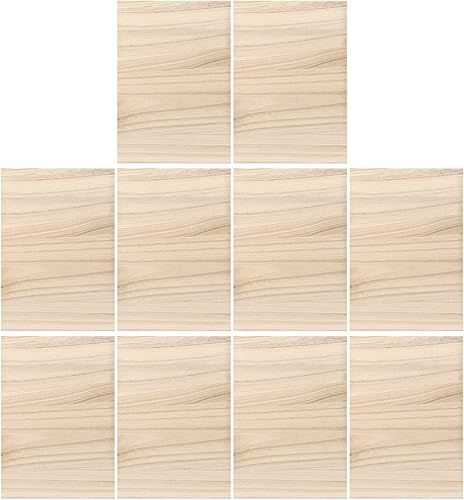 LIOOBO 10 tablas de madera para romper Taekwondo, para karate, artes marciales para niños y adultos, equipo de boxeo de 0.1in