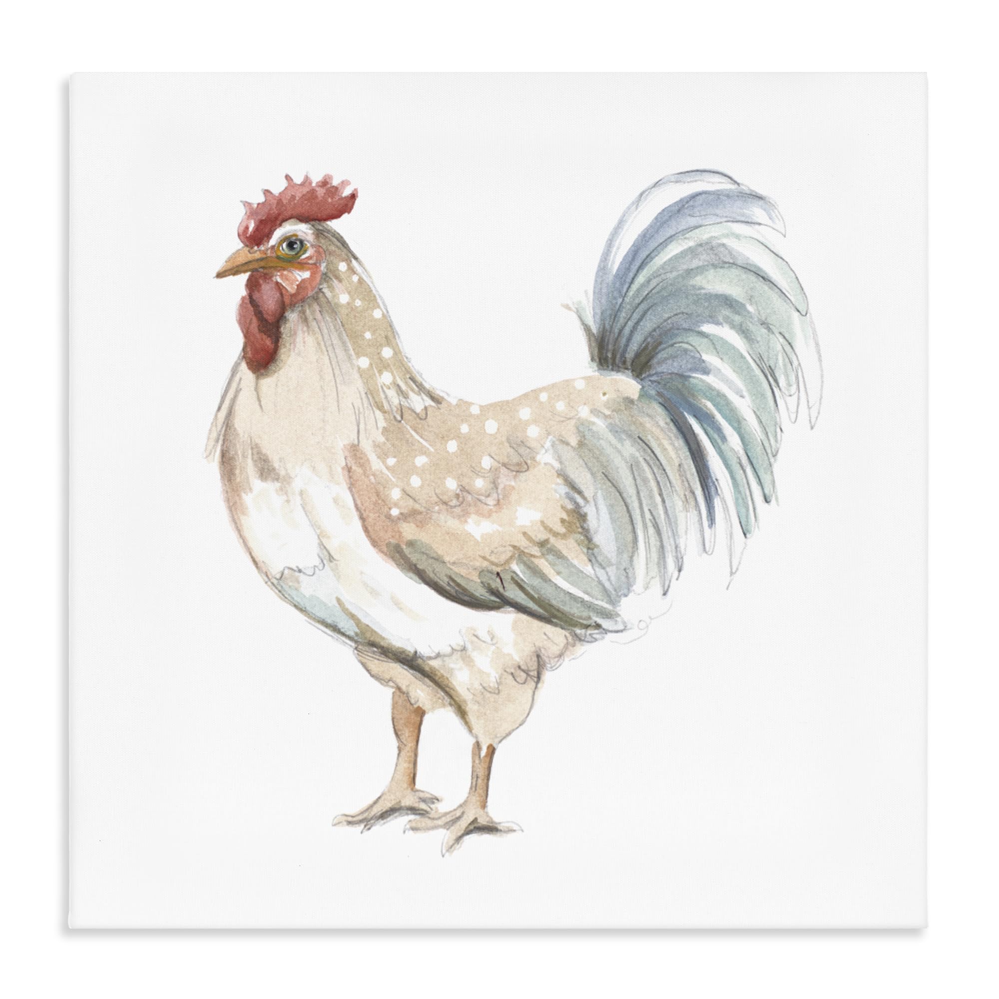 Stupell Industries 'Watercolor Rooster Sketch', Canvas Art, 17 x 17