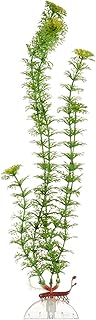 Deep Blue Professional Aquaflora Plastic Plant - Green Ambulia - 15 Inches