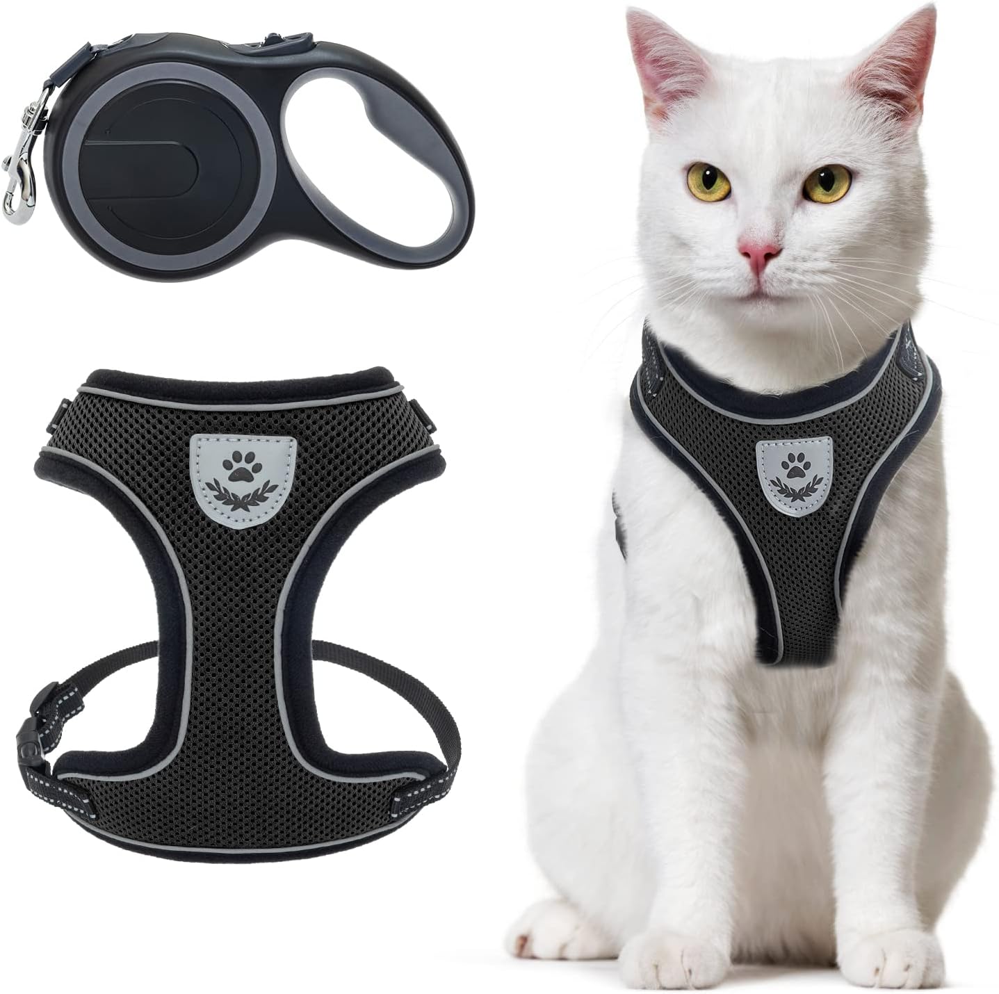 cat retractable leash