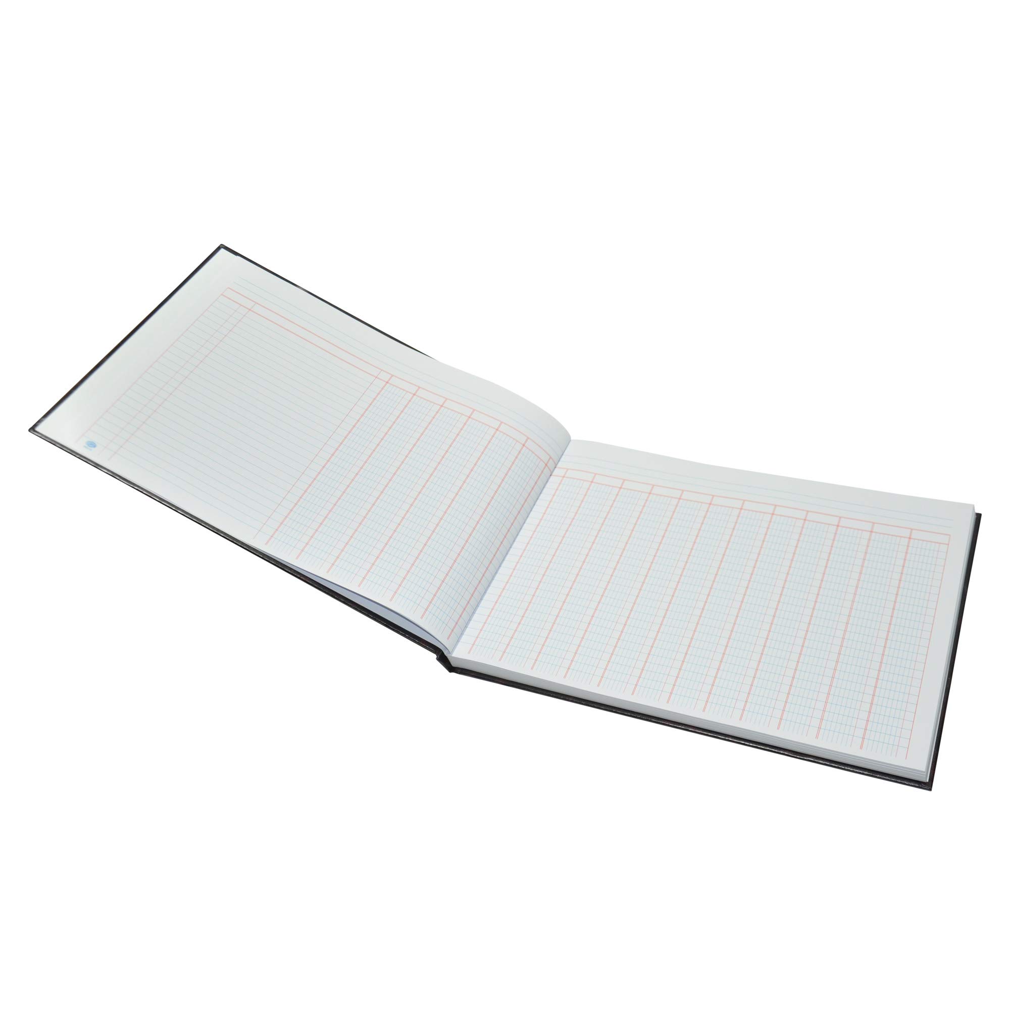 FIS® Analysis Book, Size: 345x250mm, 96 Sheets, 18 Column Per Sheet, Two Single Line Ruled for Header, Landscape View, Color Black with Brown-FSAN18