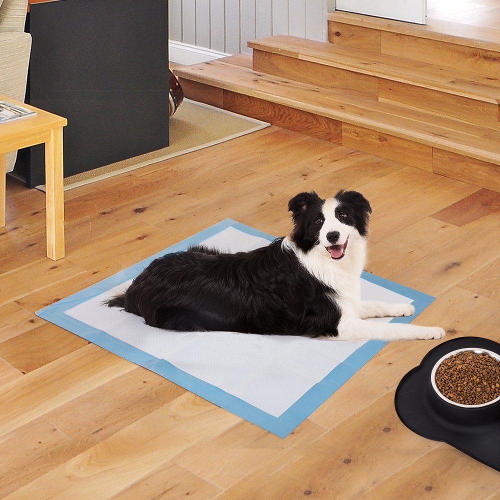 JNONI Dog and Puppy Training Pads, Disposable Dog Pee Pads, Ultra Absorbent Leak-Proof Pet Underpads,Dry Quickly Pee Pad for Dogs Cats Rabbits|Other House Training Pets -Pack of 25 PC 1